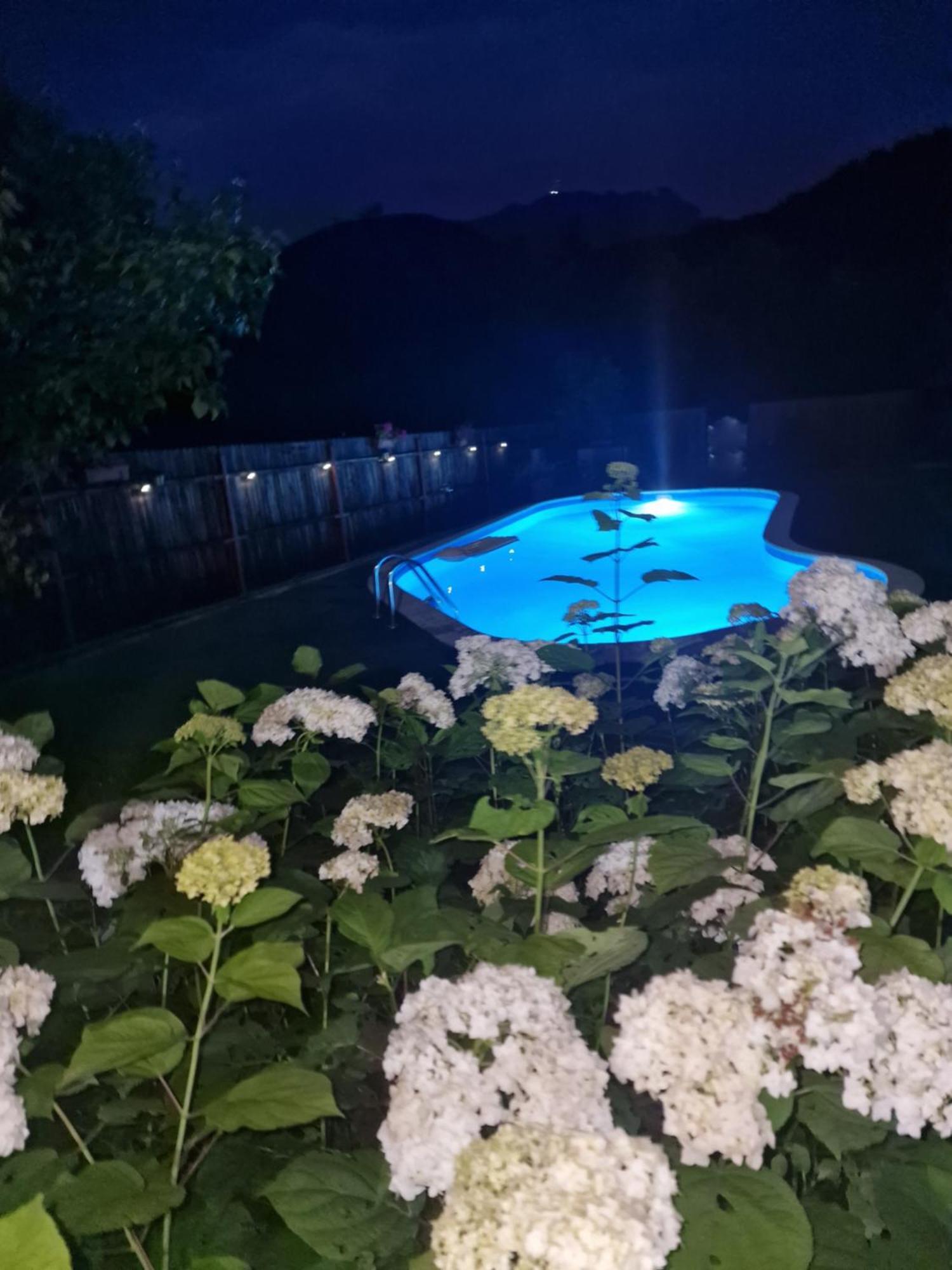 Casa De Vacanta Кечулата Номер фото