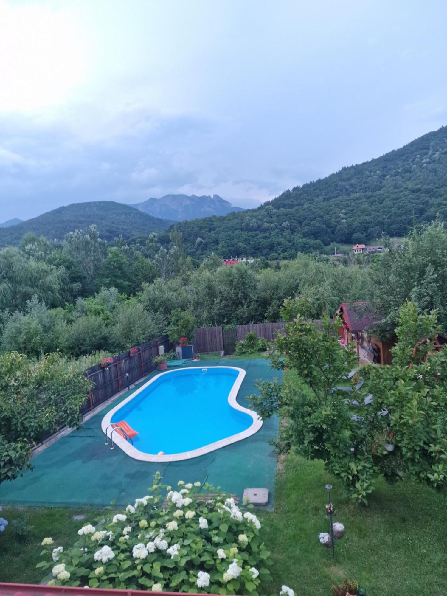 Casa De Vacanta Кечулата Номер фото